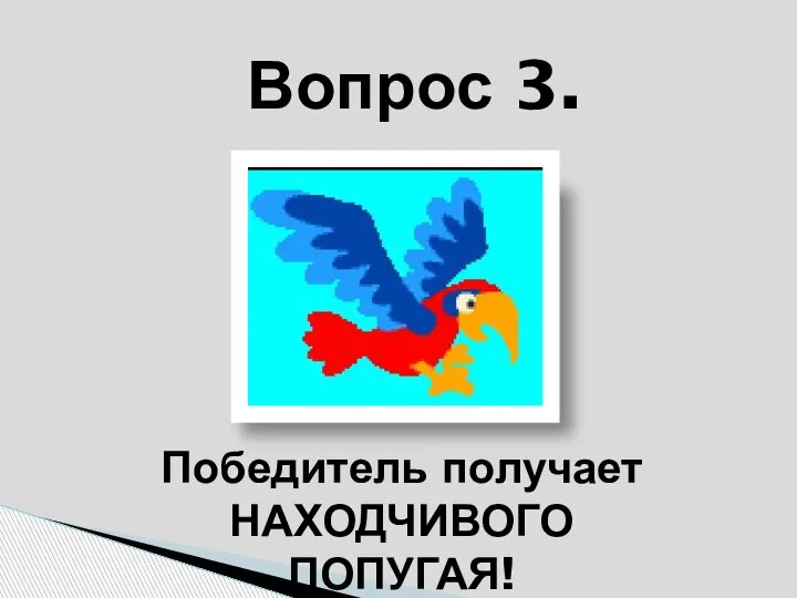 Победитель получает НАХОДЧИВОГО ПОПУГАЯ! Вопрос 3.