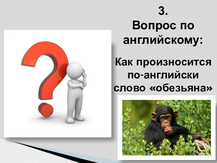 3. Вопрос по английскому: Как произносится по-английски слово «обезьяна»