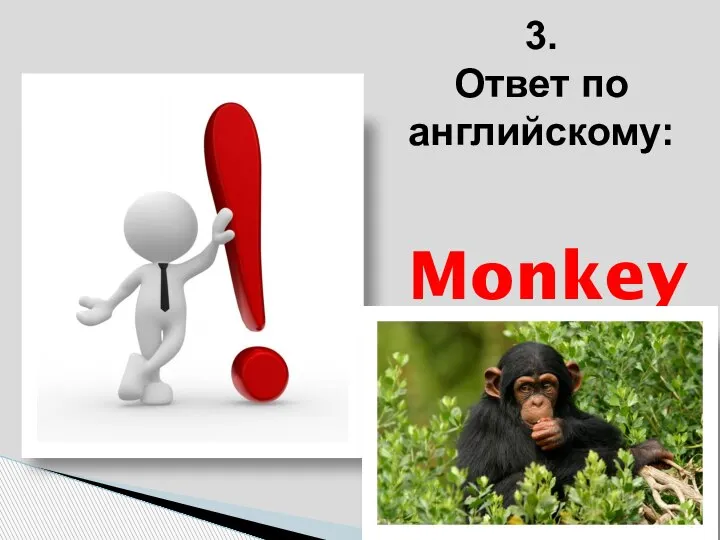 Monkey 3. Ответ по английскому: