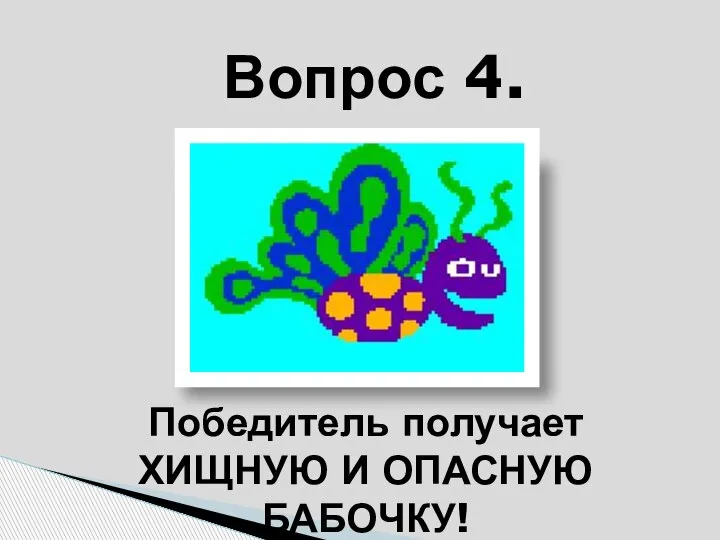 Вопрос 4. Победитель получает ХИЩНУЮ И ОПАСНУЮ БАБОЧКУ!