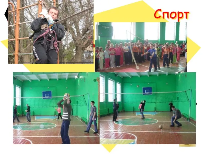 Спорт