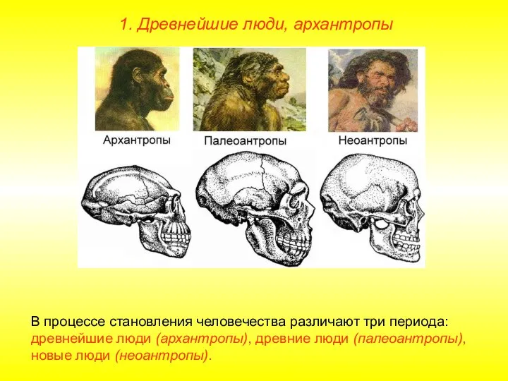 1. Древнейшие люди, архантропы В процессе становления человечества различают три периода: древнейшие