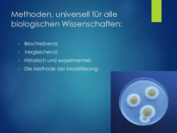 Methoden, universell für alle biologischen Wissenschaften: Beschreibend; Vergleichend; Historisch und experimentell; Die Methode der Modellierung.