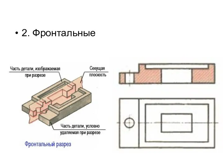 2. Фронтальные