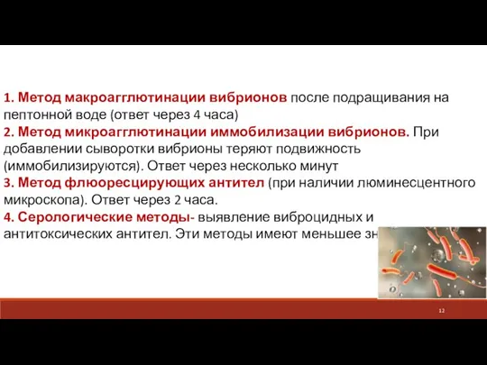 1. Метод макроагглютинации вибрионов после подращивания на пептонной воде (ответ через 4