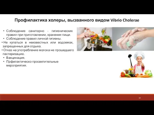 Профилактика холеры, вызванного видом Vibrio Cholerae Соблюдение санитарно - гигиенических правил при