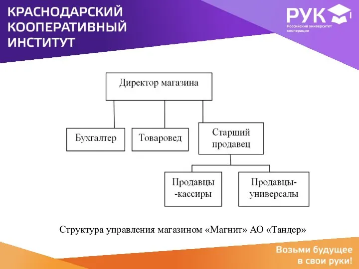 Структура управления магазином «Магнит» АО «Тандер»