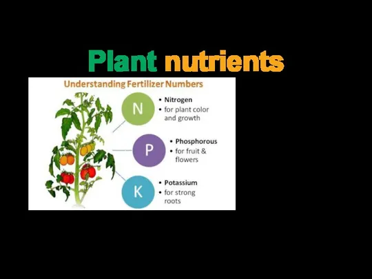 Plant nutrients
