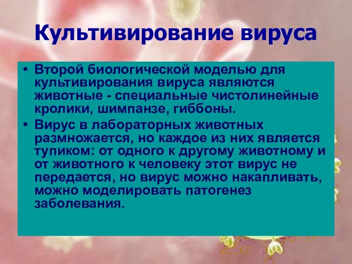 Культивирование вируса Второй биологической моделью для культивирования вируса являются животные - специальные