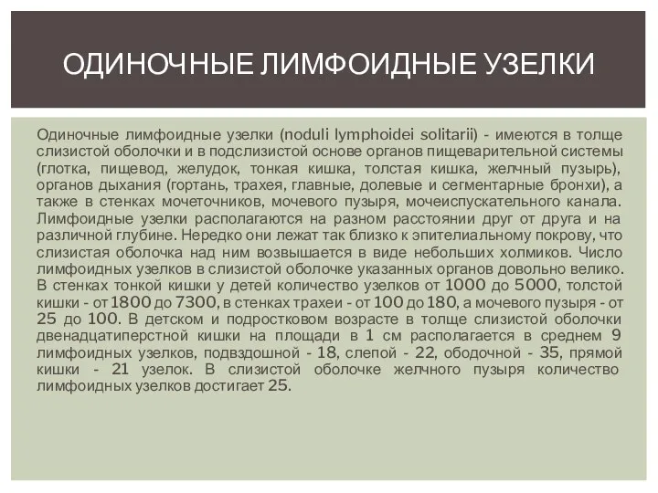 Одиночные лимфоидные узелки (noduli lymphoidei solitarii) - имеются в толще слизистой оболочки