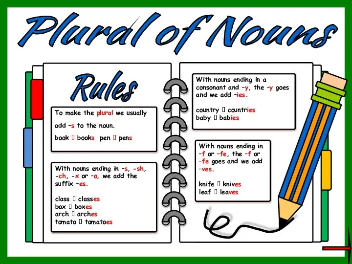 Plural of Nouns To make the plural we usually add –s to