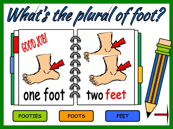 What's the plural of foot? FOOTS FEET FOOTIES feet one foot two GOOD JOB!
