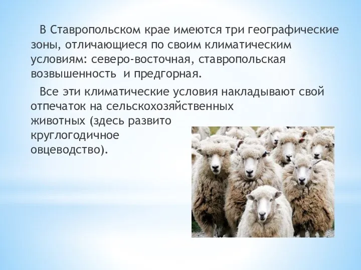 В Ставропольском крае имеются три географические зоны, отличающиеся по своим климатическим условиям: