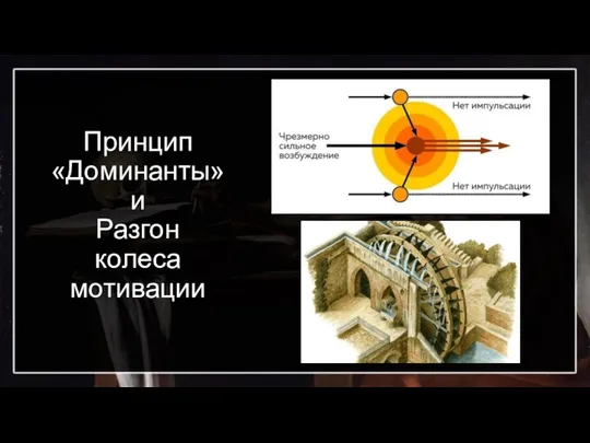 Принцип «Доминанты» и Разгон колеса мотивации