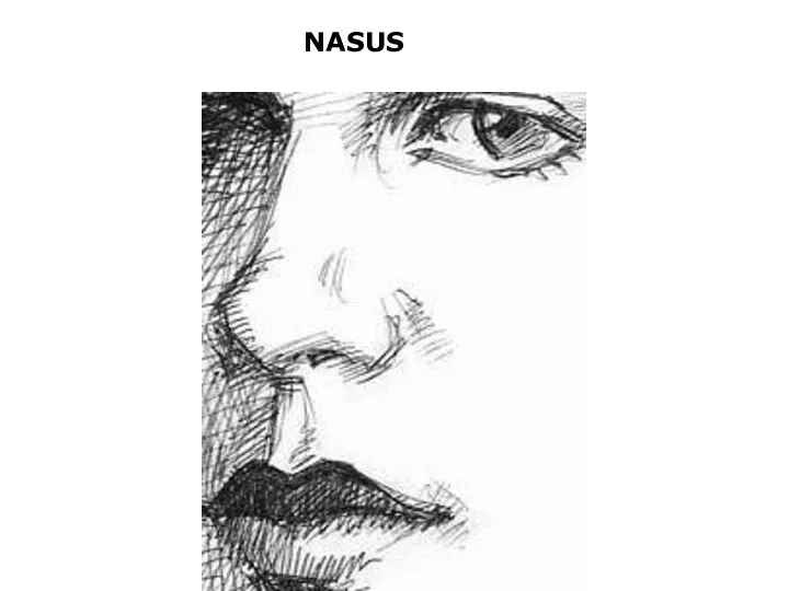 NASUS