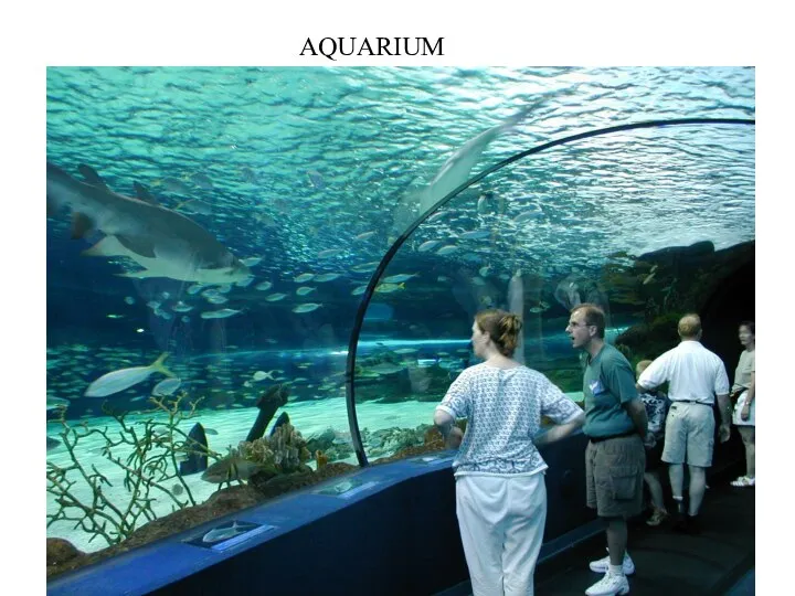 AQUARIUM