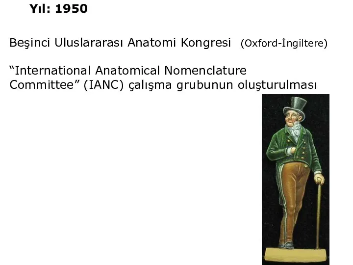 Beşinci Uluslararası Anatomi Kongresi (Oxford-İngiltere) “International Anatomical Nomenclature Committee” (IANC) çalışma grubunun oluşturulması Yıl: 1950