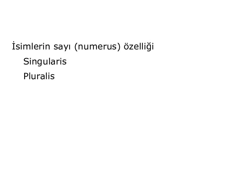 İsimlerin sayı (numerus) özelliği Singularis Pluralis