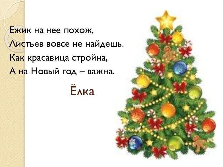 Ёлка Ежик на нее похож, Листьев вовсе не найдешь. Как красавица стройна,