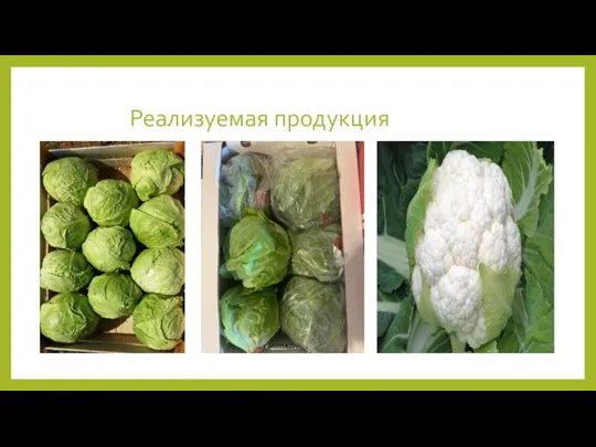 Реализуемая продукция