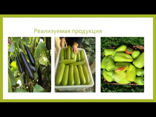 Реализуемая продукция