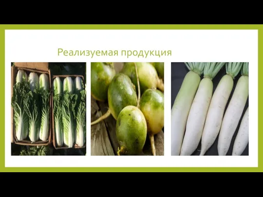 Реализуемая продукция