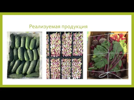 Реализуемая продукция