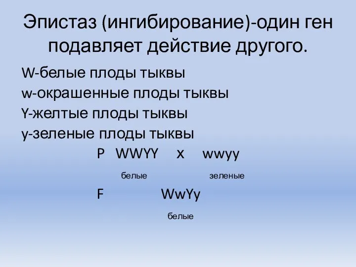 Эпистаз (ингибирование)-один ген подавляет действие другого. W-белые плоды тыквы w-окрашенные плоды тыквы