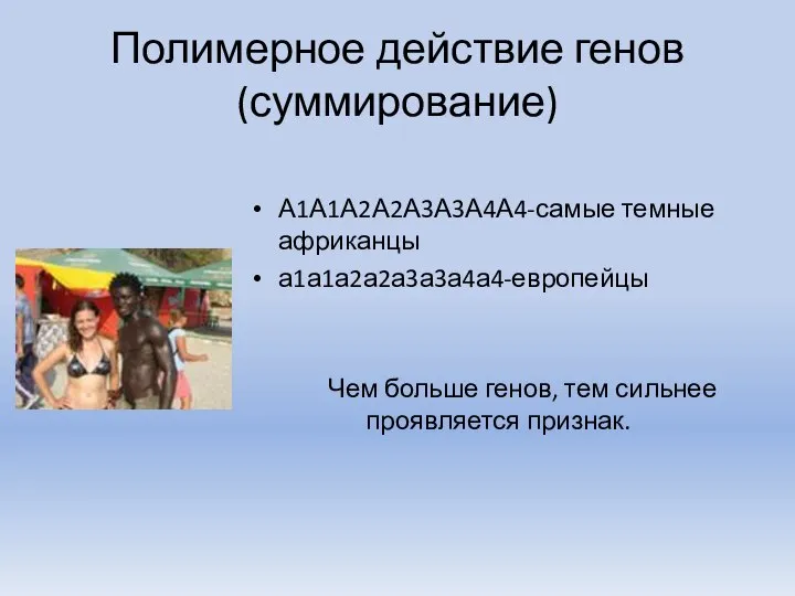 Полимерное действие генов (суммирование) А1А1А2А2А3А3А4А4-самые темные африканцы а1а1а2а2а3а3а4а4-европейцы Чем больше генов, тем сильнее проявляется признак.