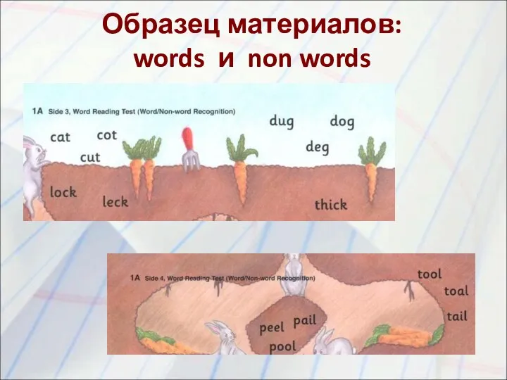 Образец материалов: words и non words