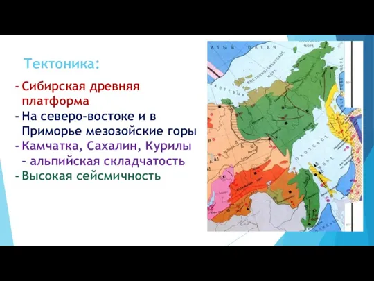 Тектоника: Сибирская древняя платформа На северо-востоке и в Приморье мезозойские горы Камчатка,