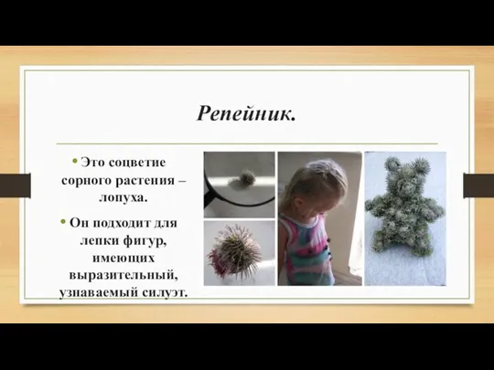 Репейник. Это соцветие сорного растения – лопуха. Он подходит для лепки фигур, имеющих выразительный, узнаваемый силуэт.