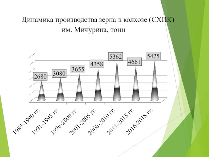 Динамика производства зерна в колхозе (СХПК) им. Мичурина, тонн