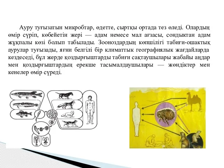 Ауру туғызатын микробтар, өдетте, сыртқы ортада тез өледі. Олардың өмір сүріп, көбейетін