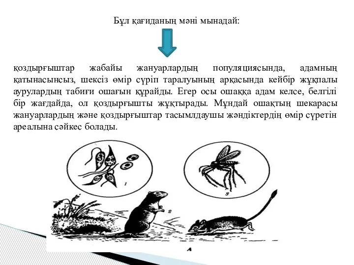 Бұл қағиданың мәні мынадай: қоздырғыштар жабайы жануарлардың популяциясында, адамның қатынасынсыз, шексіз өмір