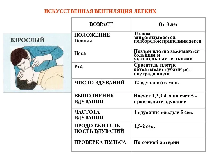 ИСКУССТВЕННАЯ ВЕНТИЛЯЦИЯ ЛЕГКИХ