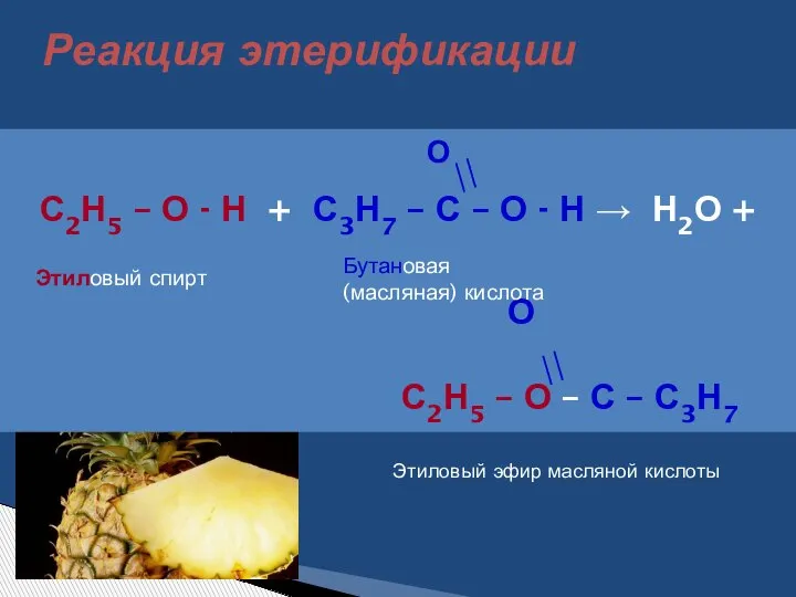 Реакция этерификации О С2Н5 – О - Н + С3Н7 – С