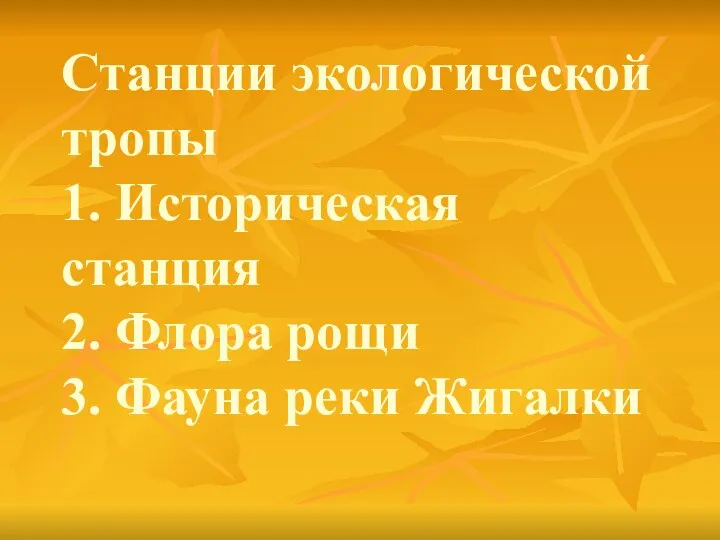 Станции экологической тропы 1. Историческая станция 2. Флора рощи 3. Фауна реки Жигалки