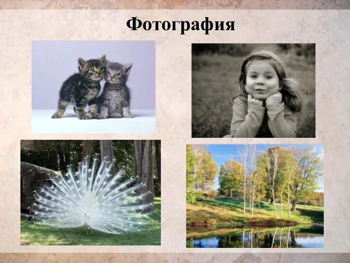 Фотография