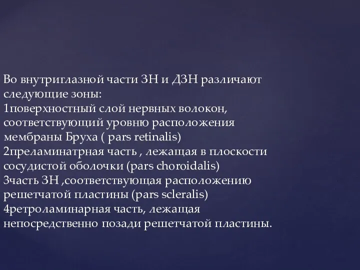 Во внутриглазной части ЗН и ДЗН различают следующие зоны: 1поверхностный слой нервных