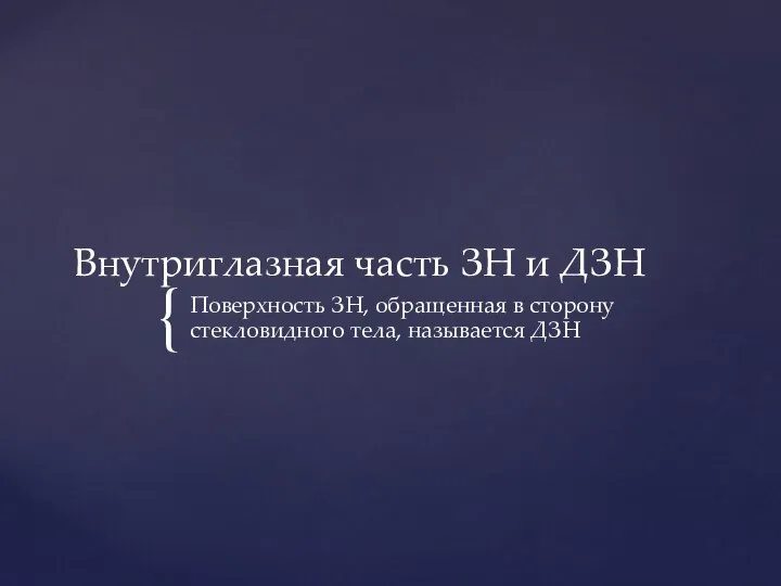 Внутриглазная часть ЗН и ДЗН Поверхность ЗН, обращенная в сторону стекловидного тела, называется ДЗН