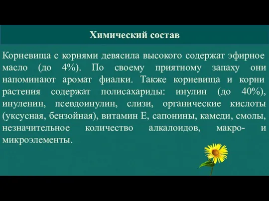 Химический состав Корневища с корнями девясила высокого содержат эфирное масло (до 4%).