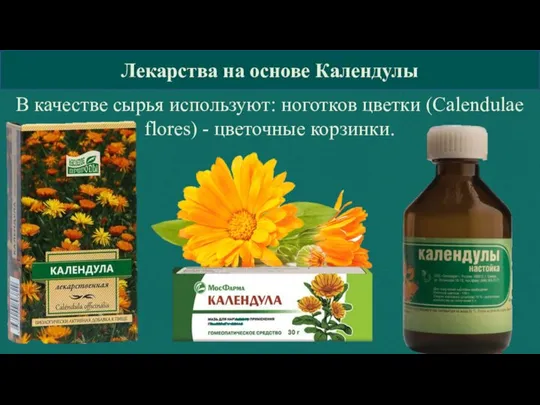 КГБПОУ »Барнаульский базовый медицинский колледж» Лекарства на основе Календулы В качестве сырья