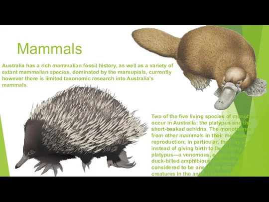 Mammals Australia has a rich mammalian fossil history, as well as a
