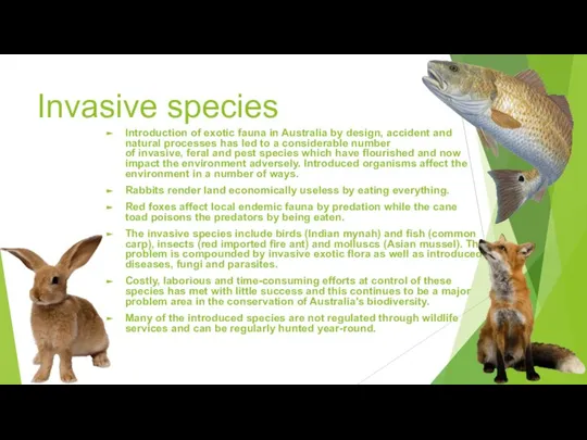 Invasive species Introduction of exotic fauna in Australia by design, accident and