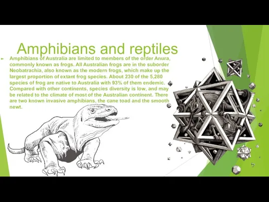 Amphibians and reptiles Amphibians of Australia are limited to members of the