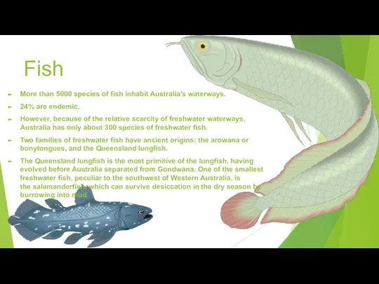 Fish More than 5000 species of fish inhabit Australia's waterways. 24% are