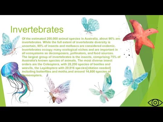 Invertebrates Of the estimated 200,000 animal species in Australia, about 96% are