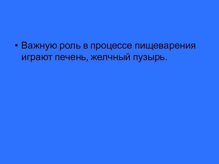 Важную роль в процессе пищеварения играют печень, желчный пузырь.