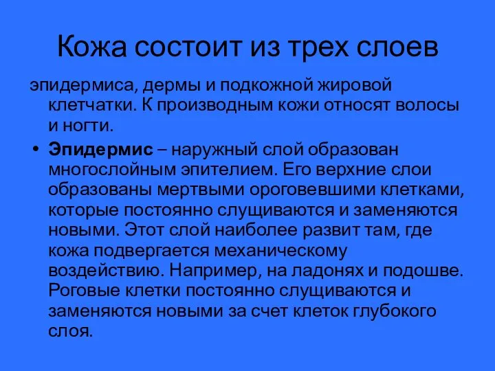 Кожа состоит из трех слоев эпидермиса, дермы и подкожной жировой клетчатки. К